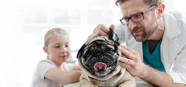 income based vet clinic